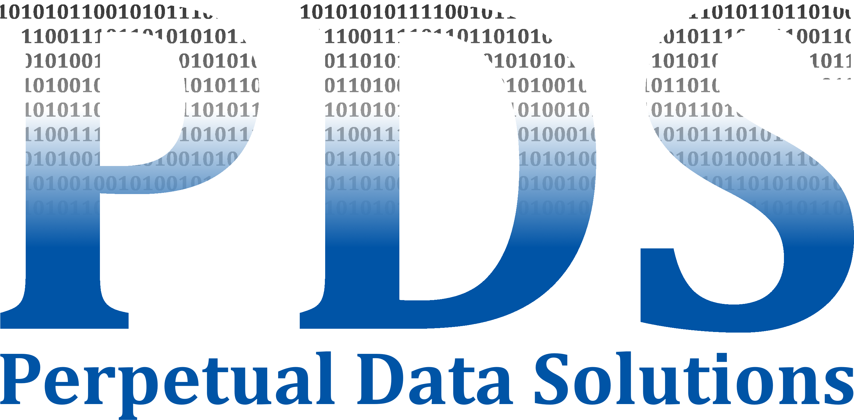 Perpetual Data Solutions